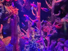 -沈阳海洋探索中心