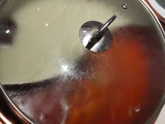 -洪氏嗨捞·猪肚鸡火锅(阳光天地店)