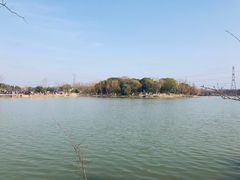 -昆山城市生态森林公园