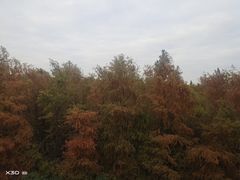 -秀沿路(地铁站)