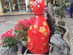 -猫咪博物馆(顶澳仔猫街店)