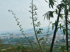 -漳州云洞岩风景区-瑞竹岩