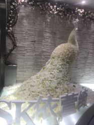 -依萱绮医疗美容