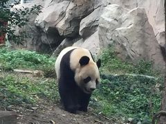 -仙芝竹尖生态园旅游景区