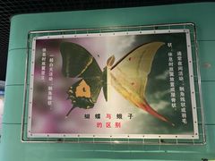 -上海昆虫博物馆