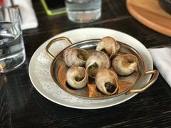 -金蜗牛
