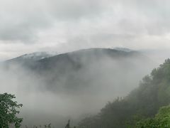 -铁山坪森林公园