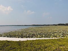 -重元寺香积厨素斋馆