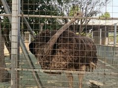 -迪茵湖田家舍生态农场