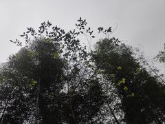 -黄公望隐居地