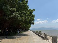 -深圳湾公园(南山区)