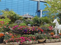 -花溪雨·森林餐厅(石基店)