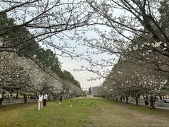 -同济大学(嘉定校区)