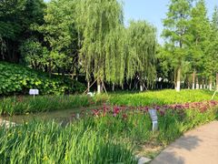 -皇粮浜公园