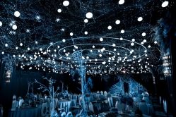 -醉库庄园·宴会厅·草坪婚礼场地
