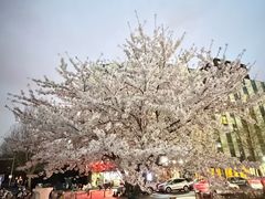 -红星美凯龙北京至尊MALL(东四环中路店)