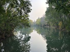 -昆山城市生态森林公园