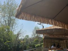 -苏记溪河鲢鱼庄(天府新区店)