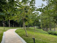 -怡海公园(桂城街道)