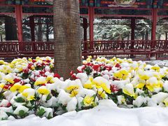 -中国人民解放军总医院