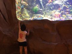 -杭州开元森泊度假乐园