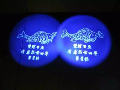 -白鹤梁水下博物馆