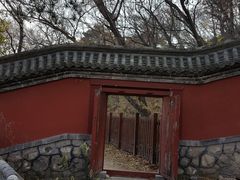 -阳台山自然风景区