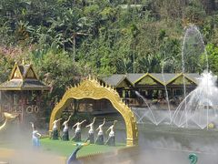 -西双版纳原始森林公园