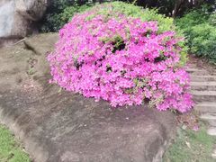 -厦门悦华酒店