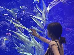 -芜湖新华联大白鲸海洋公园