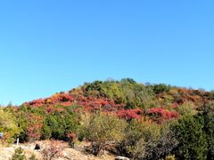 -北京西山国家森林公园