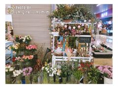 景观位-随心小姐