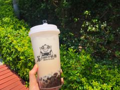 双蛋小皇椰（白屁屁）-茶力的小怪兽(梅林卓悦汇店)