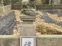 -宁波市保国寺古建筑博物馆
