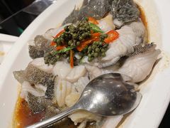 青花椒蒸龙胆鱼-闽和南(深圳万象城店)