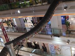 -巴黎春天(浦建店)