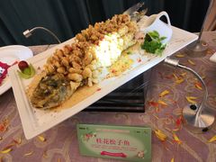-新君悦国际酒店