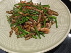 -OLD TREE老树咖啡·西餐厅(台山人工湖店)