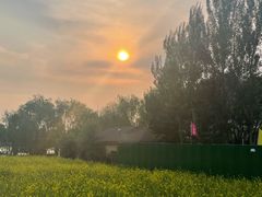 -长白岛森林公园