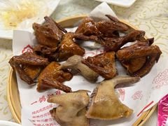 -百利鸽王(紫薇路店)