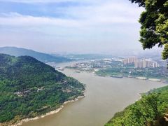 -铁山坪森林公园