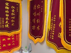 -安安宠医宠物医院·异宠·犬猫内科(岳阳分院)