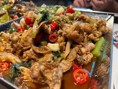 平锅-蛙舍·炭烧牛蛙(东百中心店)