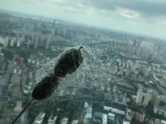 -无锡苏宁银河国际酒店-悦府65中餐厅