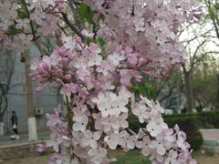 -山东师范大学(千佛山校区)