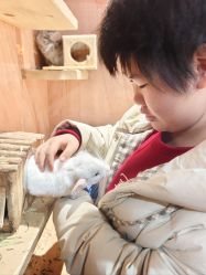 -神奇动物撸宠馆·羊驼·小浣熊·异宠(豫园店)