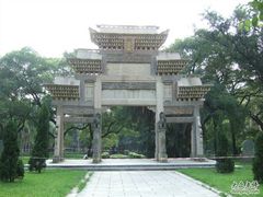-中山大学学者灵芝(园南路店)