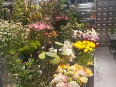 -植物学家的女儿(北马道巷店)