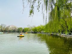 -莲湖公园