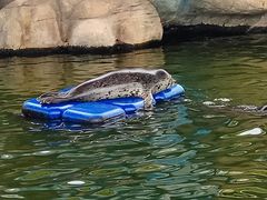 -华夏文旅海洋公园